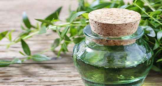 طبع روغن مورد ؛ ایا طبع روغن مورد از نظر طب سنتی سرد است یا گرم
