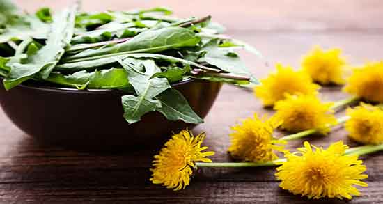 طبع عرق قاصدک ؛ طبع عرق قاصدک از نظر طب سنتی سرد است یا گرم