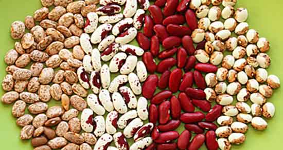 طبع لوبیا ؛ طبیعت مصرف لوبیا پخته داخل غذا برای بدن چگونه است