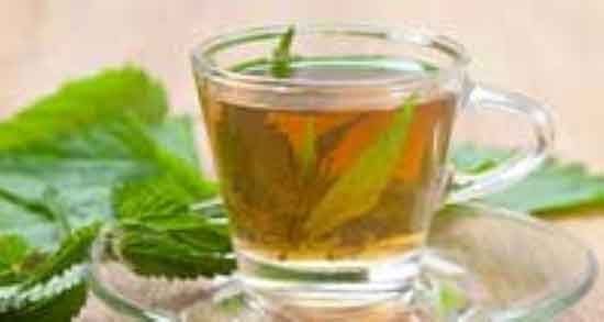 طبع چای گزنه ؛ طبع چای گزنه از نظر طب سنتی سرد است یا گرم