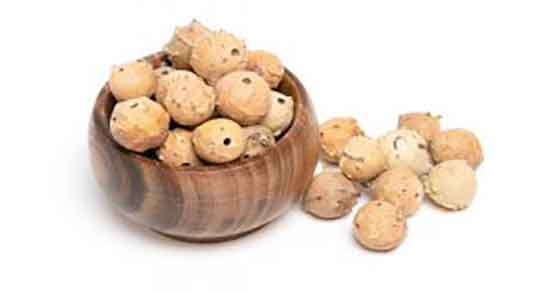 طرز استفاده از مازو برای عفونت دندان ؛ ایا پودر مازو برای عفونت دندان مفیده