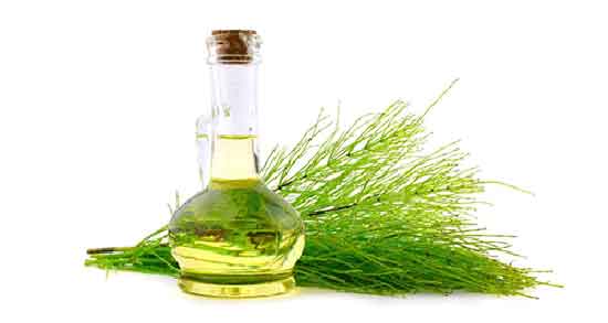 طرز استفاده روغن دم اسب برای مو ؛ روغن دم اسب برای پوست صورت