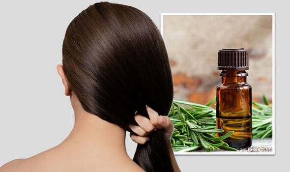طرز تهیه اسپری رزماری برای مو در خانه؛ نحوه استفاده و فواید برای مو