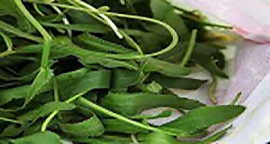 طرز تهیه بورانی غازیاغی ؛ دستور تهیه بورانی غازیاغی برای وعده