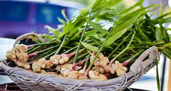 طرز تهیه حب زنجبیل و عسل برای کرونا ؛ دستور تهیه حب زنجبیل و عسل