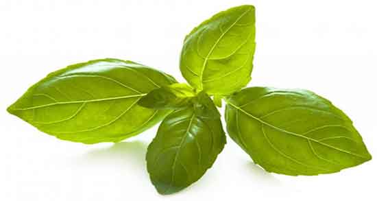 طرز تهیه دمنوش نعناع و دارچین ؛ دستور تهیه دمنوش نعناع و دارچین چیه