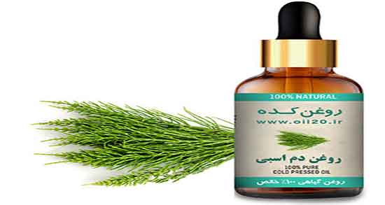 طرز تهیه روغن دم اسب ؛ دستور تهیه روغن دم اسب برای پوست