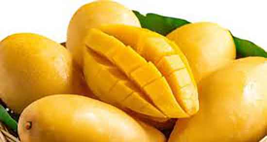 طرز تهیه شیر انبه و دستور تهیه شیر انبه به روش خانگی چگونه است طرز تهیه شیر انبه ؛ دستور تهیه شیر انبه به روش خانگی چگونه است