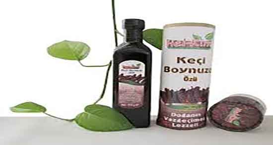 طرز تهیه شیره خرنوب ؛ دستور تهیه شیره خرنوب به روش خانگی