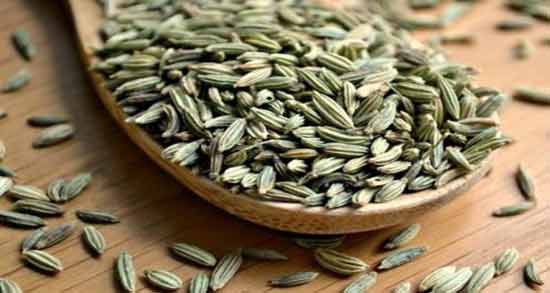 طرز تهیه شیره رازیانه ؛ آموزش درست کردن شیره رازیانه در منزل