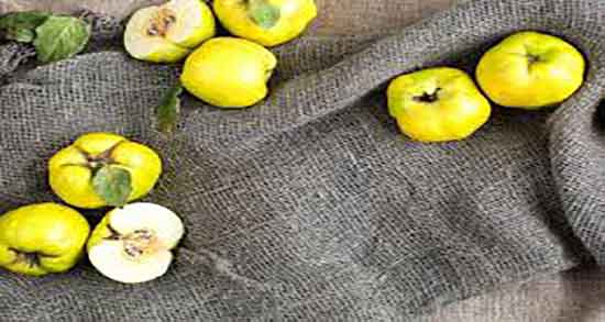 طرز تهیه لعاب به دانه ؛ دستور تهیه لعاب به دانه برای درمان سرفه اطفال