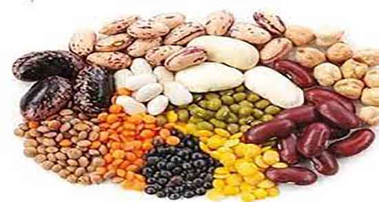طرز تهیه لوبیا برای بدنسازی ؛ دستور تهیه لوبیا چیتی برای عضله سازی