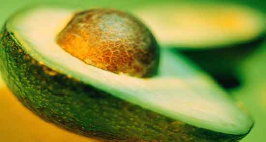 طرز تهیه هسته آووکادو ؛ دستور تهیه کاشت هسته آووکادو در زمین کشاورزی