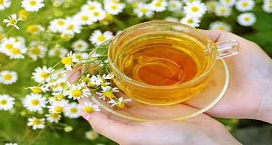 طرز تهیه چای بابونه برای دیابت ؛ دستور تهیه چای بابونه برای کنترل قند خون