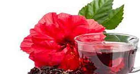 طرز تهیه چای قرمز ؛ دستور تهیه چای قرمز به روش خانگی چگونه است