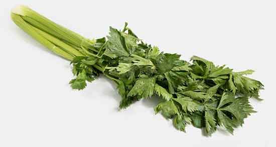 طرز مصرف برگ کرفس ؛ چگونه میتوان برگ کرفس را مصرف کرد