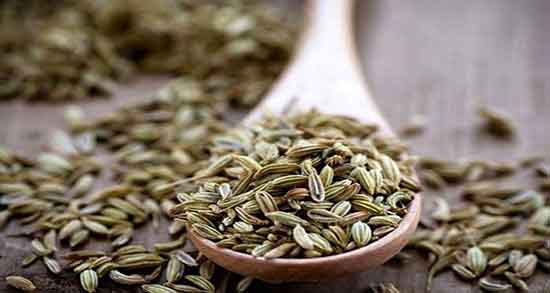 طرز پخت رازیانه ؛ دستور پخت رازیانه به روش سنتی چگونه است