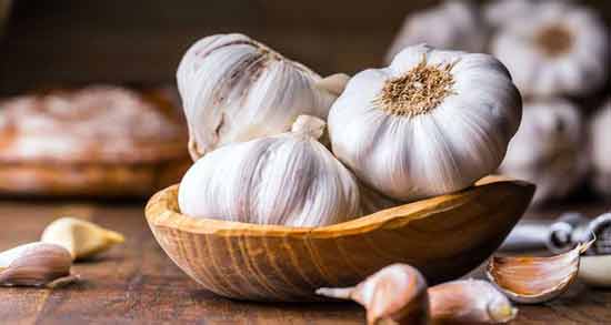 طریقه مصرف سیر برای کاهش چربی خون ؛ روش استفاده از سیر برای کاهش چربی خون