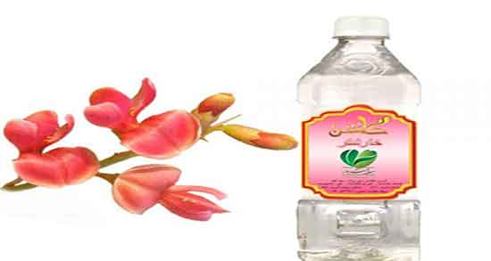طریقه مصرف عرق خارشتر برای کبد چرب ؛ دستور مصرف عرق خارشتر چیه
