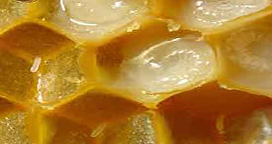 طریقه مصرف ژل رویال ؛ دستور مصرف ژل رویال برای تقویت اسپرم اقایان