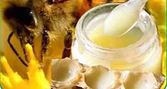 طریقه مصرف ژل رویال در طب اسلامی ؛ دستور مصرف ژل رویال با عسل