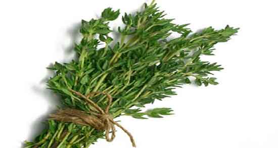 عرق آذربه برای چی خوبه ؛ ایا خوردن عرق اذربه برای سرماخوردگی مفیده