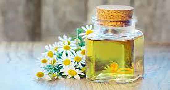 عرق بابونه و اشتها ؛ ایا خوردن عرق بابونه برای زیاد شدن اشتها مفید است