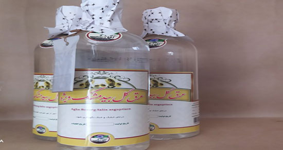 عرق بید و دیابت ؛ آیا عرق بید برای دیابت زنان باردار ضرر دارد یا نه