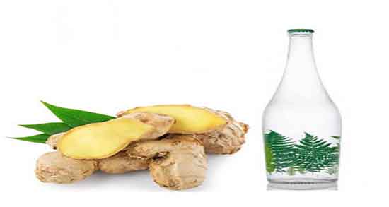 عرق زنجبیل و لاغری ؛ ایا مصرف عرق زنجبیل برای کم خونی مفید است