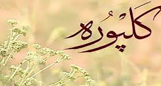 عرق کلپوره برای چی خوبه ؛ خواص عرق کلپوره برای لاغری و چربی سوزی