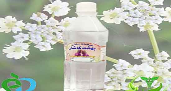 عرق کیالک برای کبد ؛ ایا مصرف عرق کیالک برای رفع چربی کبد مفید است