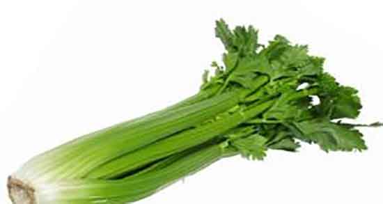 عوارض برگ کرفس ؛ مضرات مصرف برگ کرفس از نظر طب سنتی