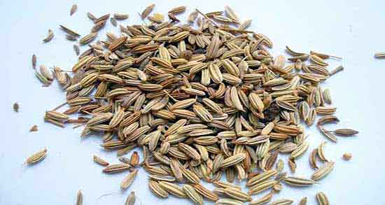 عوارض رازیانه برای نوزاد دختر ؛ مضرات مصرف رازیانه برای دختران چیست