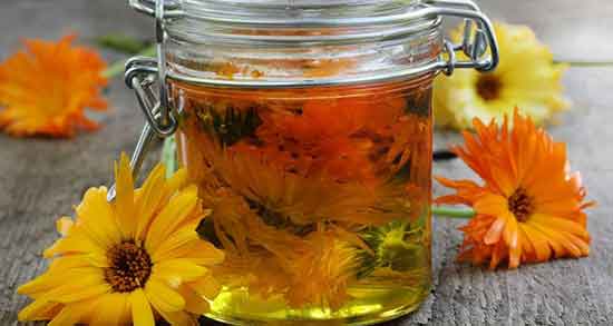 عوارض روغن گل همیشه بهار ؛ مضرات روغن گل همیشه بهار برای تخمدان