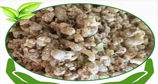 عوارض شیرخشت برای نوزاد ؛ مضرات مصرف شیرخشت برای کودکان