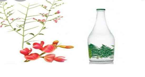 عوارض عرق خارشتر در بارداری ؛ مضرات عرق خارشتر برای زخم معده