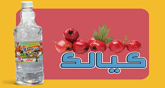 عوارض عرق کیالک ؛ ایا عرق کیالک برای درمان چربی خون مضره