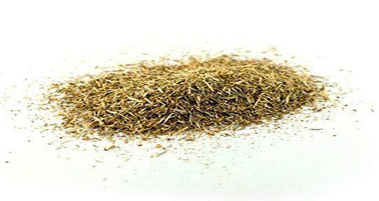 عوارض مصرف علف چای ؛ ایا مصرف علف چای برای کودکان مضر است