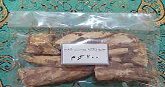 عوارض گیاه چوغان ؛ مضرات مصرف گیاه چوغان برای جنین زنان حامله