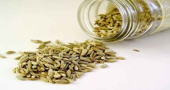 عکس رازیانه سیاه ؛ شکل رازیانه سیاه + تصویر رازیانه سیاه در گوگل