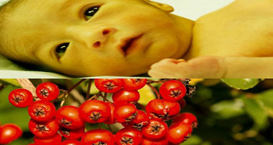 عکس شیرخشت برای نوزاد ؛ شکل ظاهری شیرخشت برای اطفال