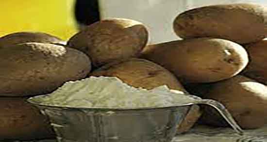 عکس نشاسته سیب زمینی ؛ شکل ظاهری نشاسته سیب زمینی در گوگل