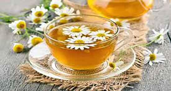 فرق بابونه و بابونه شیرازی ؛ تفاوت بابونه با بابونه شیرازی در چیست