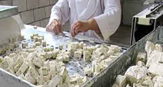 فرق گزانگبین و ترنجبین ؛ چگونه تفاوت گزانگبین و ترنجبین را بفهمیم