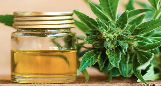 فواید روغن مورد برای ابرو ؛ فواید مصرف روغن مورد برای ابروهای کم پشت