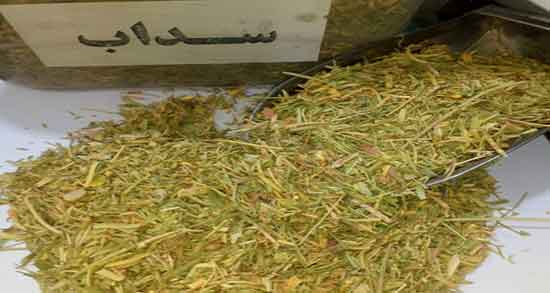 فواید سداب ؛ خاصیت مصرف سداب تازه برای لاغری شکم و پهلو