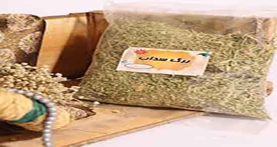 فواید سداب برای مو ؛ تقویت ریشه موی سر با خوردن سداب تازه