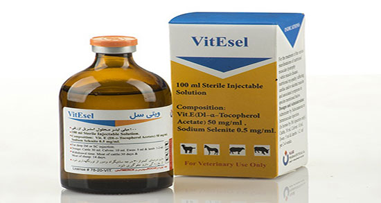 فواید سلنیوم برای چشم ؛ خاصیت مصرف سلنیوم برای تقویت بینایی