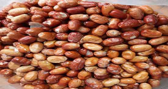 فواید سنجد تازه ؛ خاصیت خوردن سنجد تازه برای سرماخوردگی اطفال