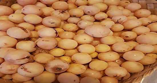 فواید سپستان خشک ؛ ایا سپستان خشک برای چربی سوزی شکم مفیده